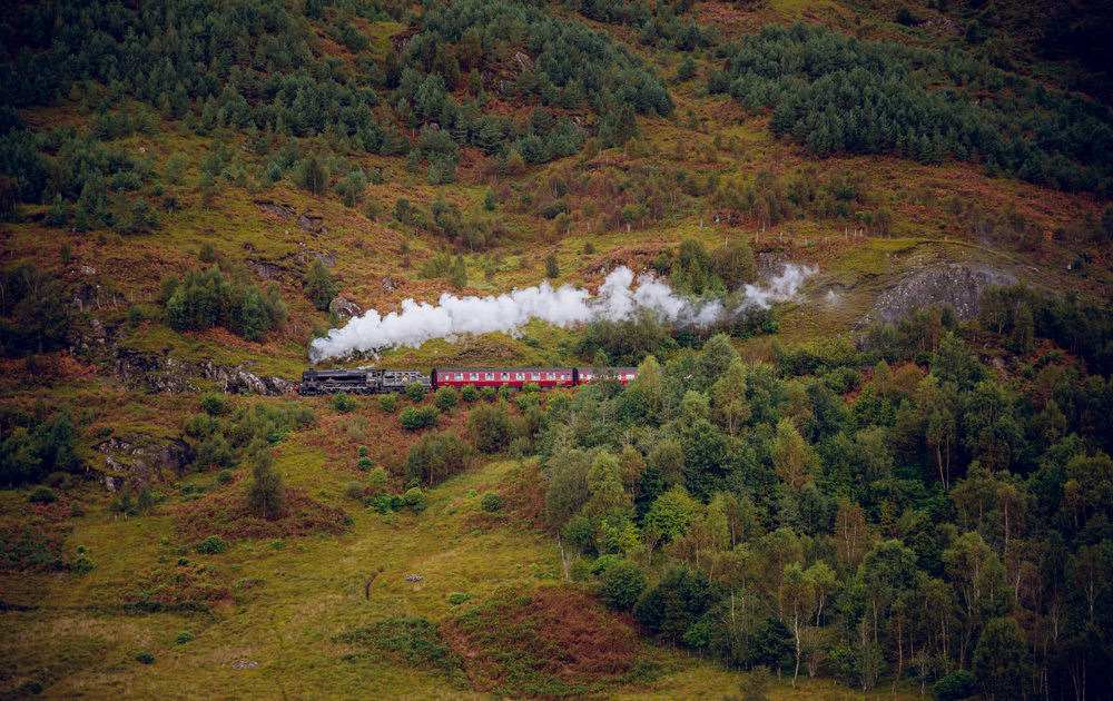 Train Passing By With Smoke Coming Out