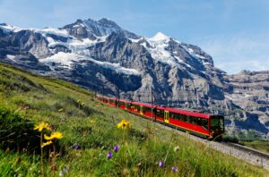 Beautiful Scenic Train Ride